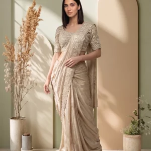 Shimmer Organza Champagne Beige Designer Border Ready to Wear Saree